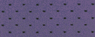�p�[�v��
