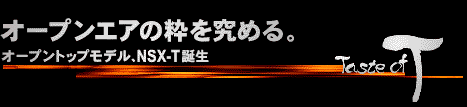 NSX-T�a��