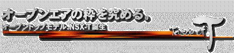 NSX-T�a��