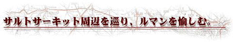 �T���g�T�[�L�b�g