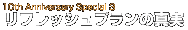 ���t���b�V���v�����̐^��