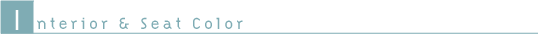 Interior��Seat Color