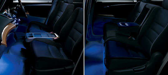 �u���[�C���~�l�[�V�����_���C���[�W