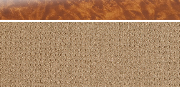 �C���e���A���V�[�g�J���[�F�x�[�W���iB�j