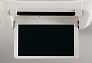 9�C���`���C�h�f�B�X�v���C�i�i�[���j