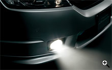 Absolute��p�t�H�O���C�g