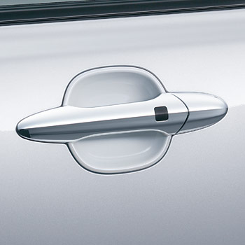 �h�A�̎{��/����