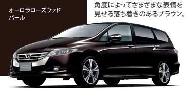 �I�[�������[�Y�E�b�h�E�p�[�� �p�x�ɂ���Ă��܂��܂ȕ\��������闎�������̂���u���E���B