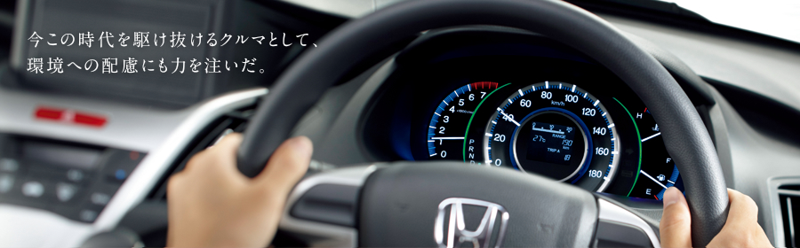 �����̎�����삯������N���}�Ƃ��āA���ւ̔z���ɂ��͂𒍂����B