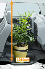 �g�[�����[�h