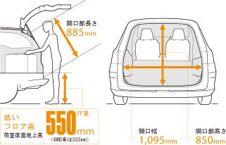 �Ⴍ�A���C�h�ȊJ����