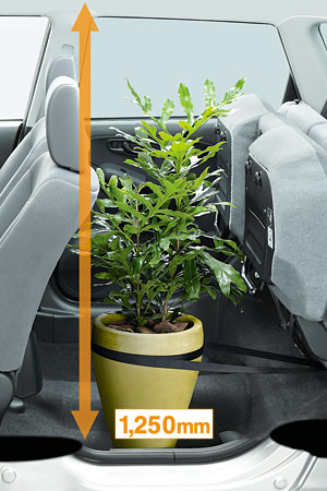 �V�[�g�A�����W�F�g�[�����[�h