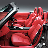 ���b�h�i�{�v�V�[�g���C���e���A�j