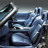 �u���[�i�{�v�V�[�g���C���e���A�j