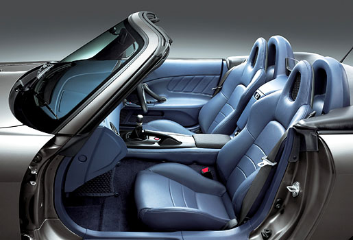 �V�[�g���C���e���A�J���[�F�u���[�i�{�v�V�[�g���C���e���A�j