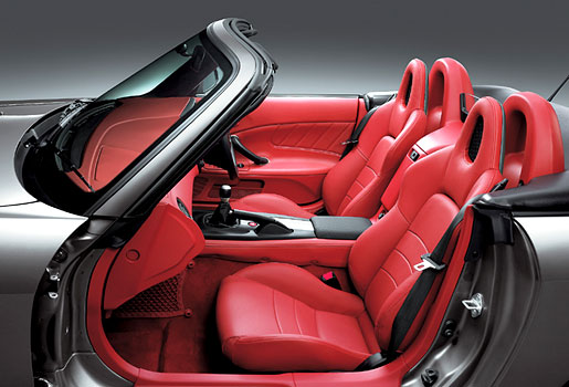 �V�[�g���C���e���A�J���[�F���b�h�i�{�v�V�[�g���C���e���A�j