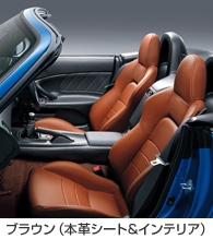 �u���E���i�{�v�V�[�g&�C���e���A�j