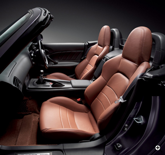 �u���E���i�{�v�V�[�g���C���e���A�j