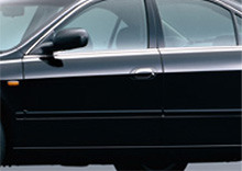 �X�^�[���C�g�u���b�N�E�p�[��