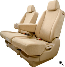 �C���e���A�J���[�̓i�`�������A�C�{���[