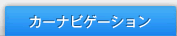 �J�[�i�r�Q�[�V����