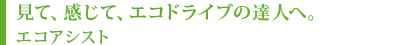 ���āA�����āA�G�R�h���C�u�̒B�l�ցB�G�R�A�V�X�g
