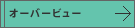 �I�[�o�[�r���[