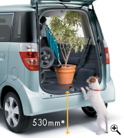 �׎����ʒn�㍂530mm