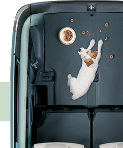 �C���[�W�摜