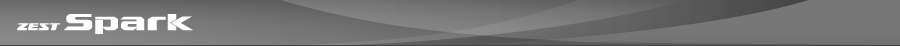 ZEST SPARK