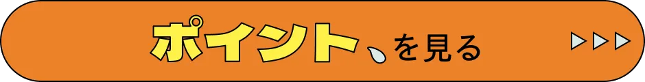 ポイントを見る