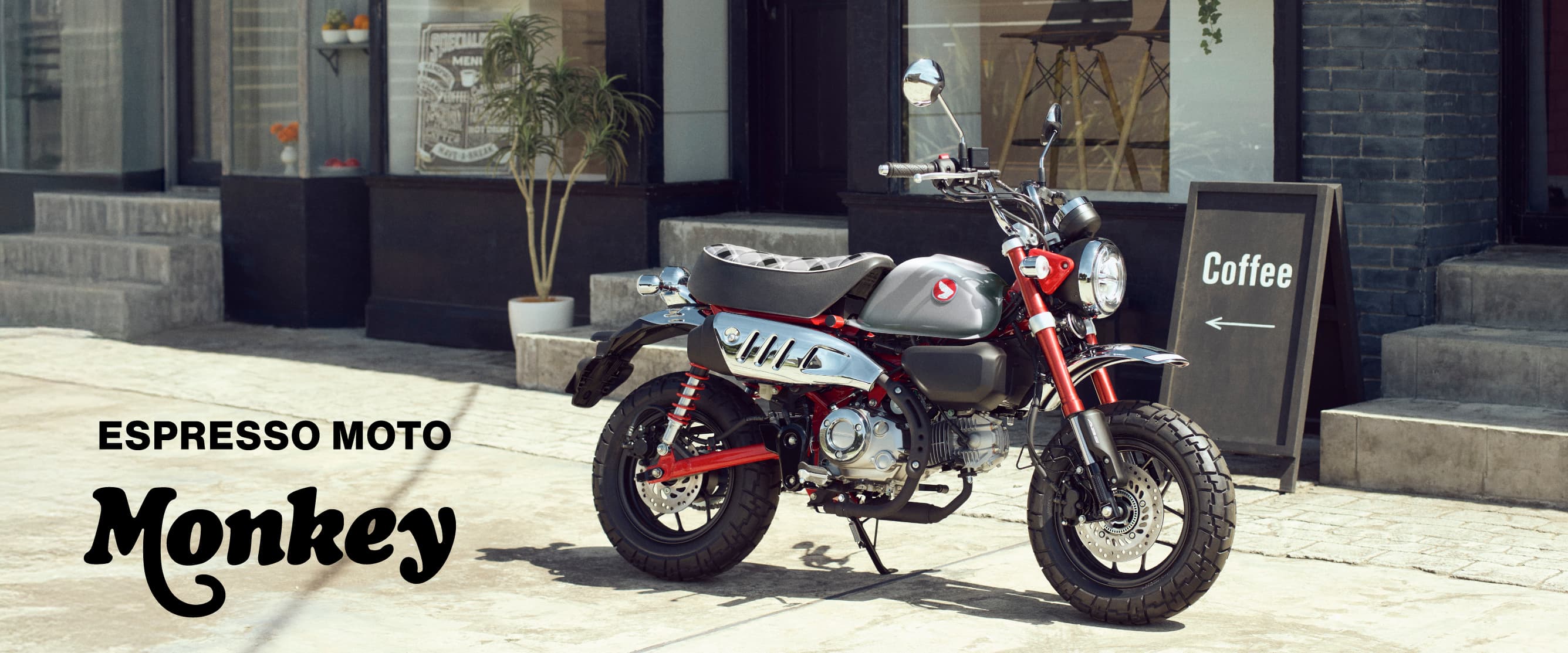 Monkey125