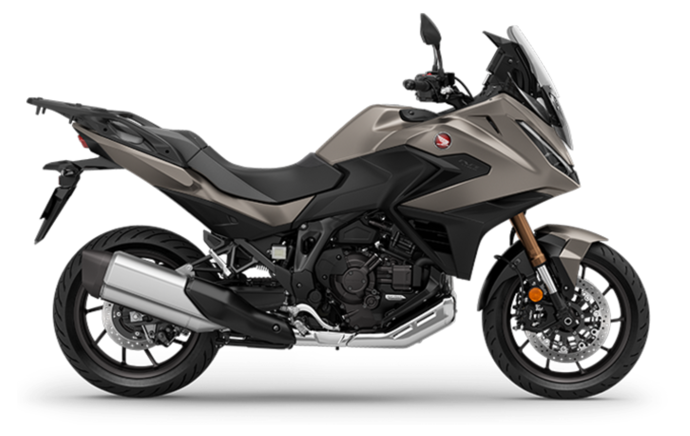 NT1100 マットウォームアッシュメタリック