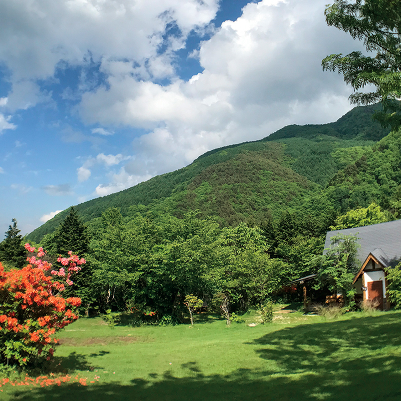 ミヤシタ・ヒルズ