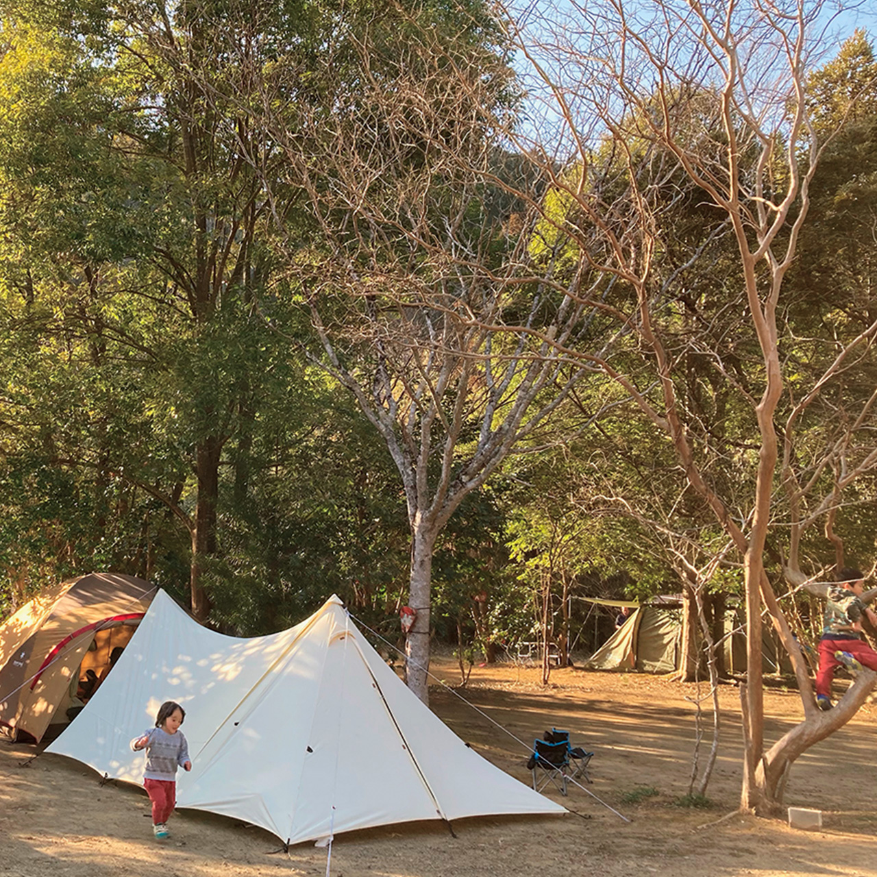 オートキャンプ・フルーツ村