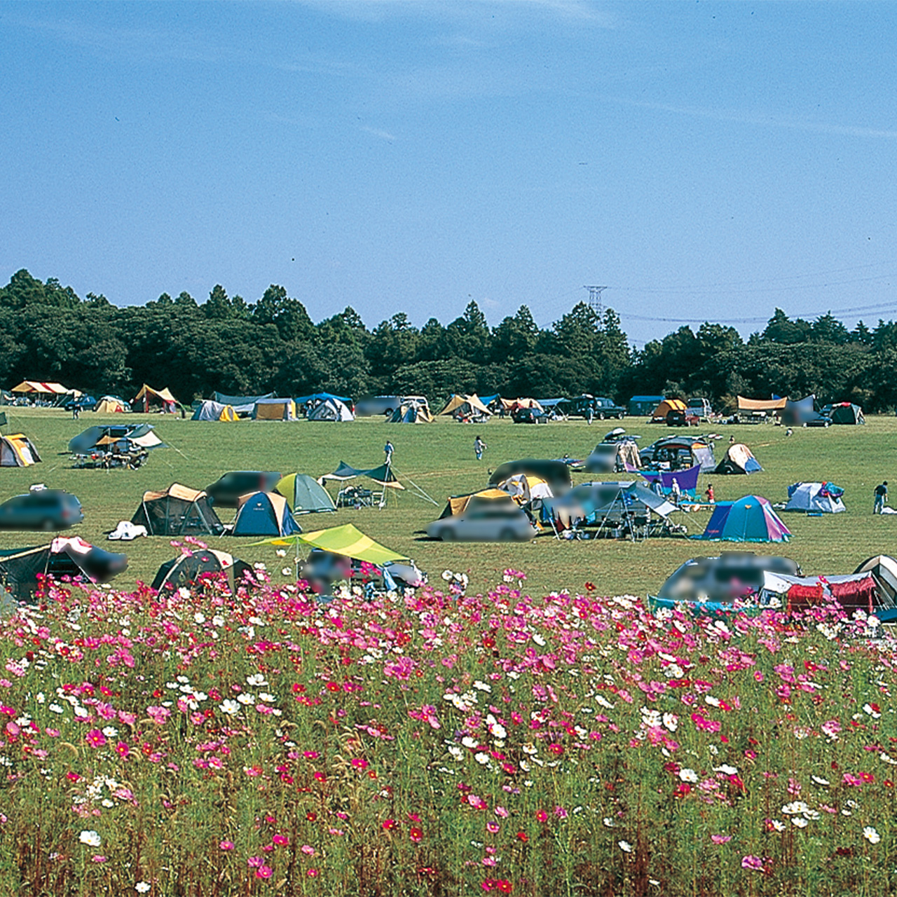 森のまきばオートキャンプ場