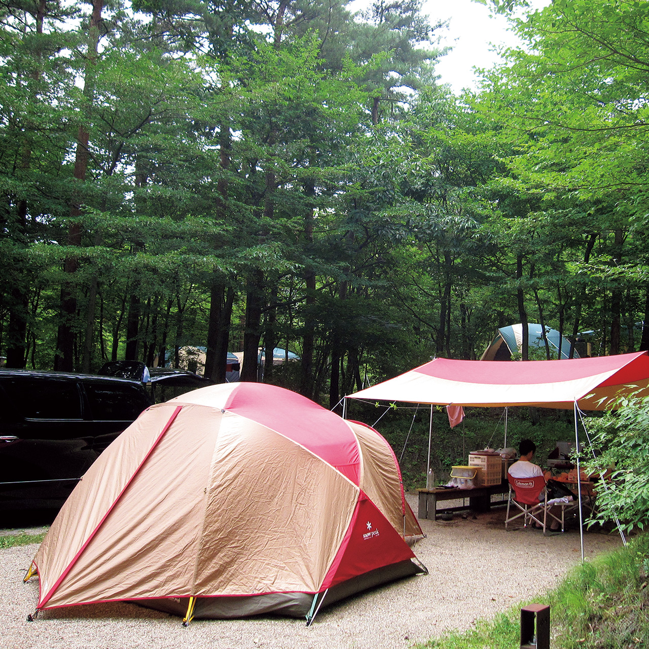 ふくしま県民の森フォレストパークあだたら