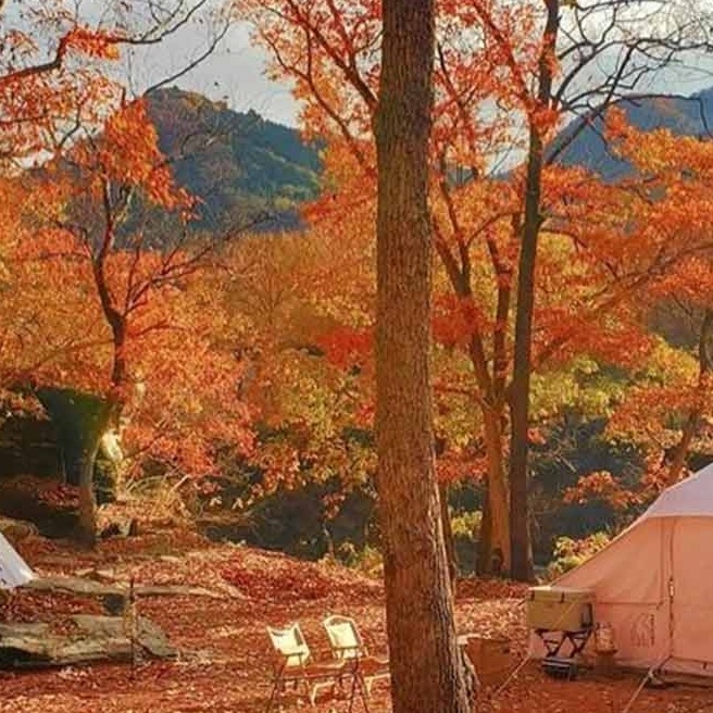 紅葉がきれいな<br>おすすめのキャンプ場7選