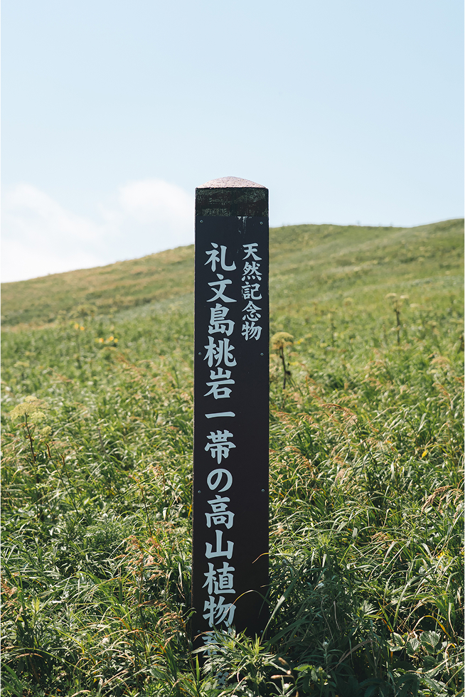 ここはもう特別保護地区