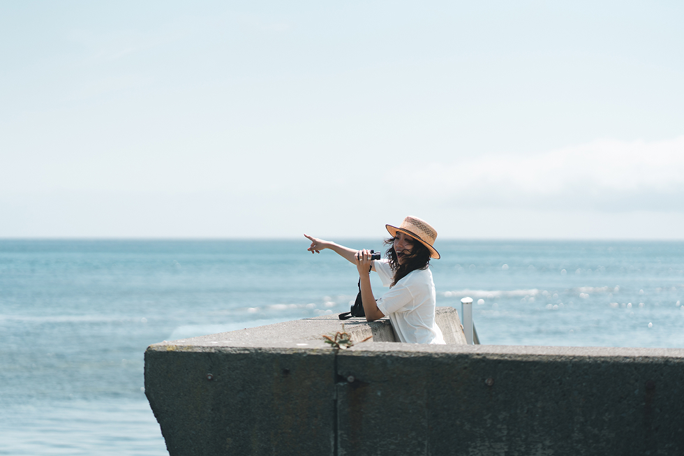 野生のアザラシが見られるなんて感激