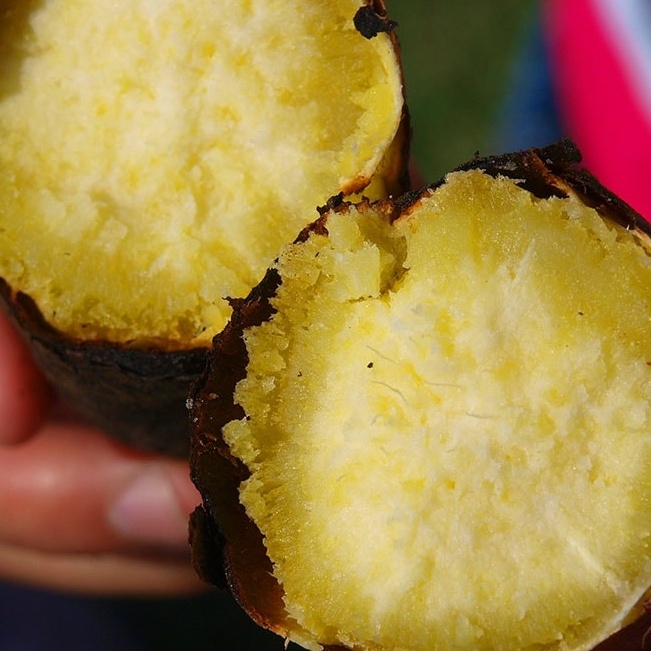 焼きいもを美味しく作るコツ