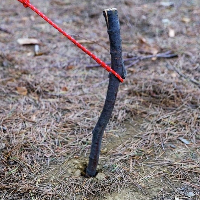 ペグがなくても慌てない！身近なモノでペグを作ろう