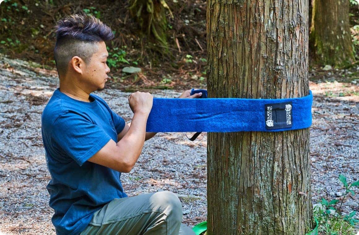 ラインを設置する木を養生する画像