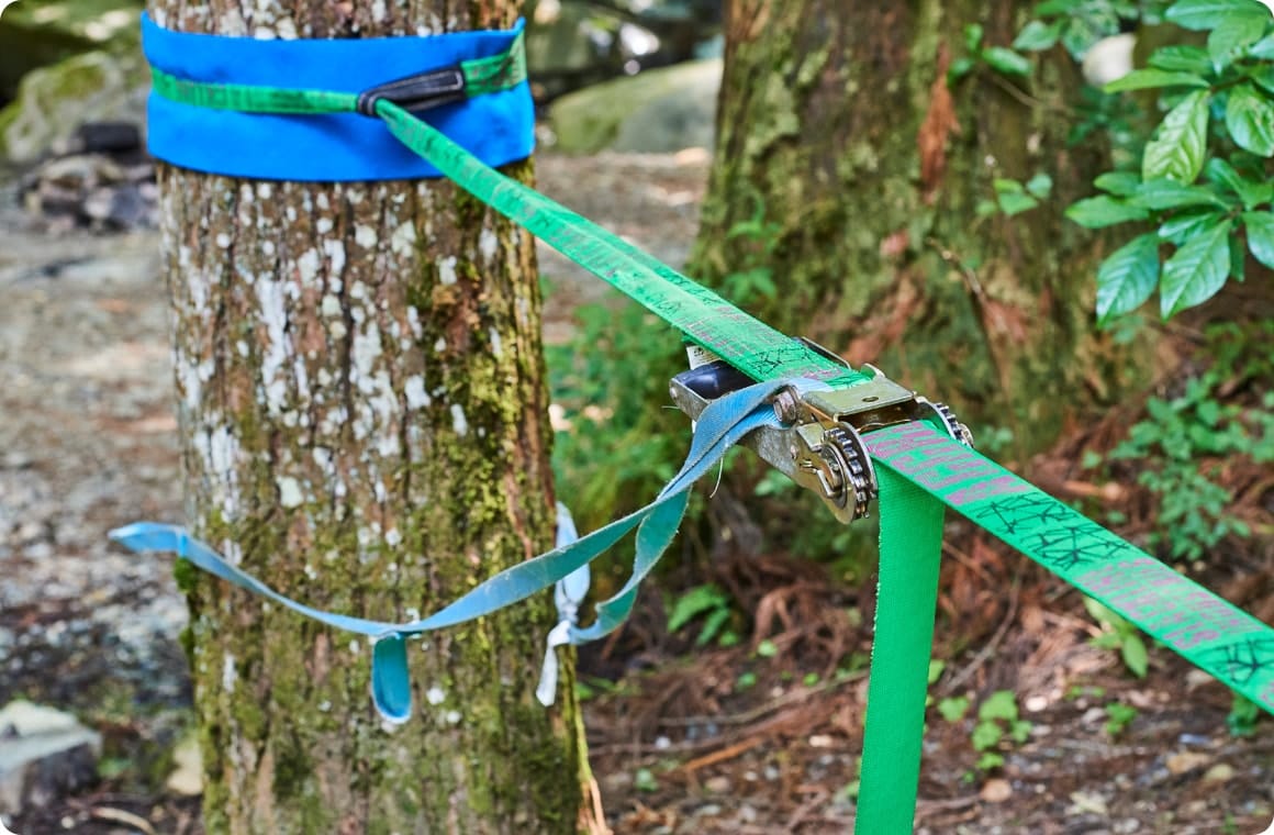 バックアップリーシュをつけた画像