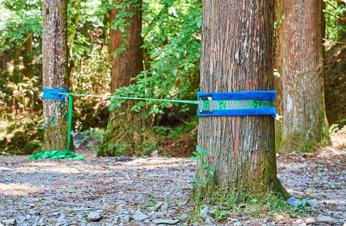 設置完了したスラックラインの画像