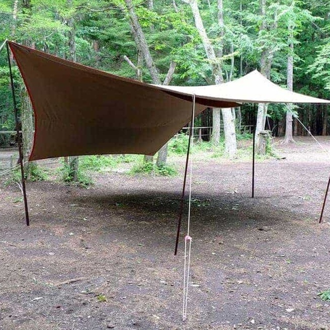 コットンタープの魅力に迫る！