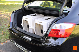 トランクルーム