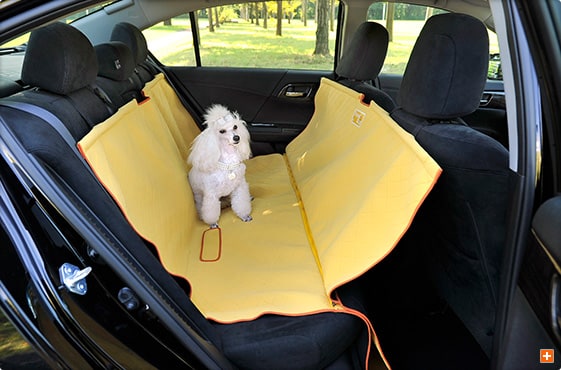 多頭飼いの場合