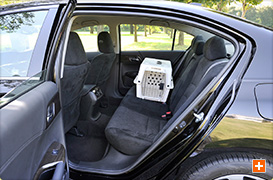 後席（シート座面）