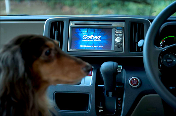 気になる車内の臭いを脱臭